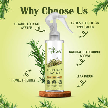 https://cdn.shopify.com/s/files/1/1857/6931/files/UuVW0YOL8S.jpg?v=1727762759